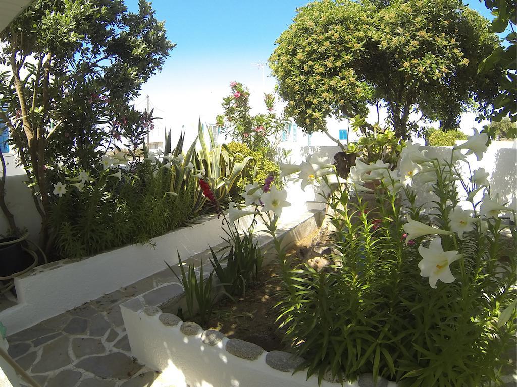 Kavaki Studios Mykonos Town Habitación foto